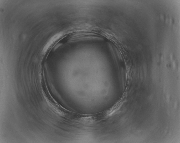 X0000070370054200606231657