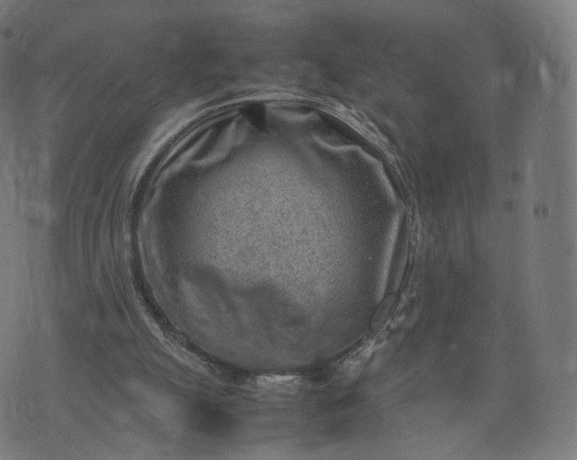 X0000070370055200606231657