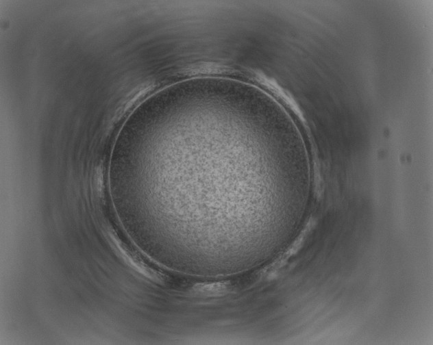 X0000070370057200606231657