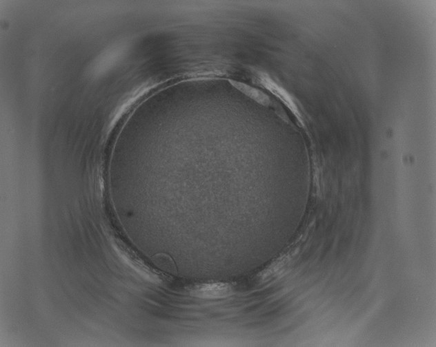 X0000070370059200606231657