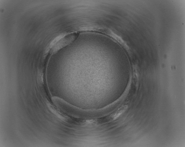 X0000070370060200606231657