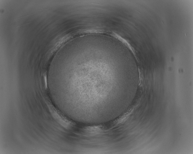 X0000070370061200606231657