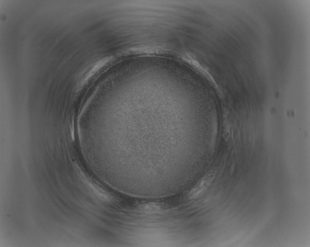 X0000070370062200606231657