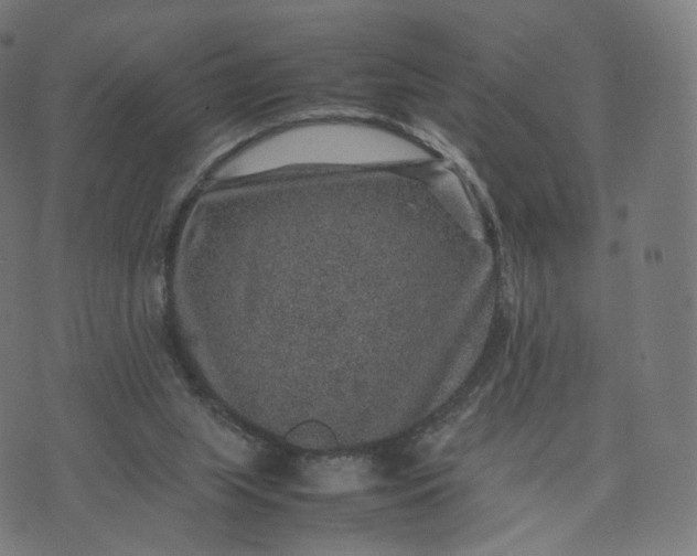 X0000070370063200606231657