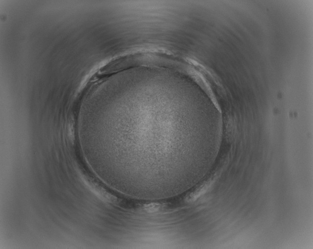 X0000070370064200606231657