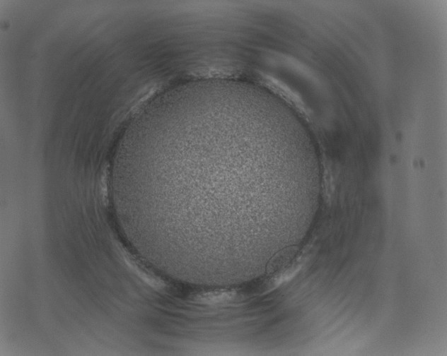 X0000070370065200606231658