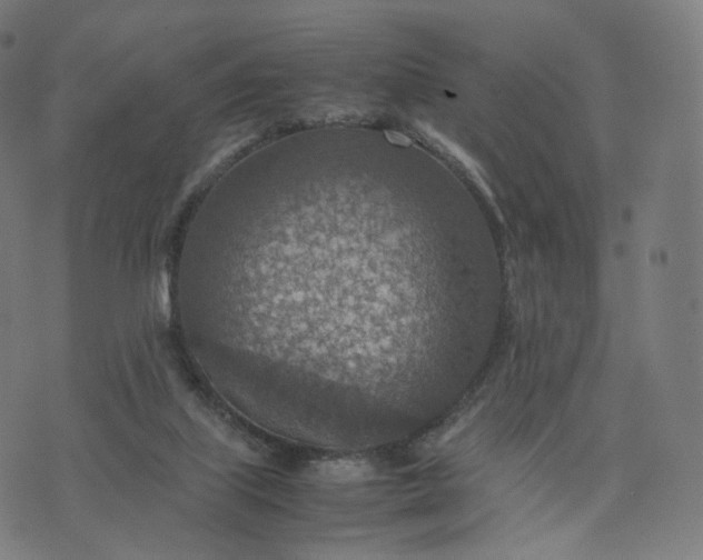 X0000070370067200606231658