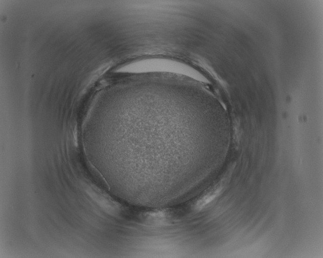 X0000070370068200606231658