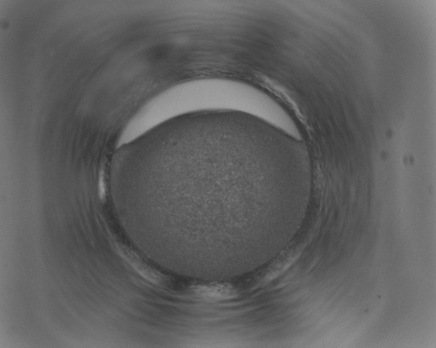 X0000070370069200606231658