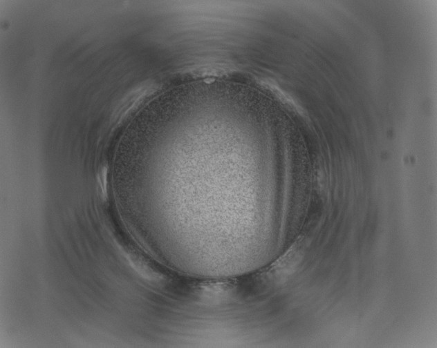 X0000070370070200606231658