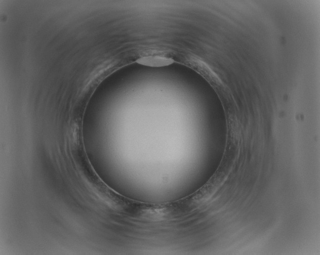 X0000070370071200606231658