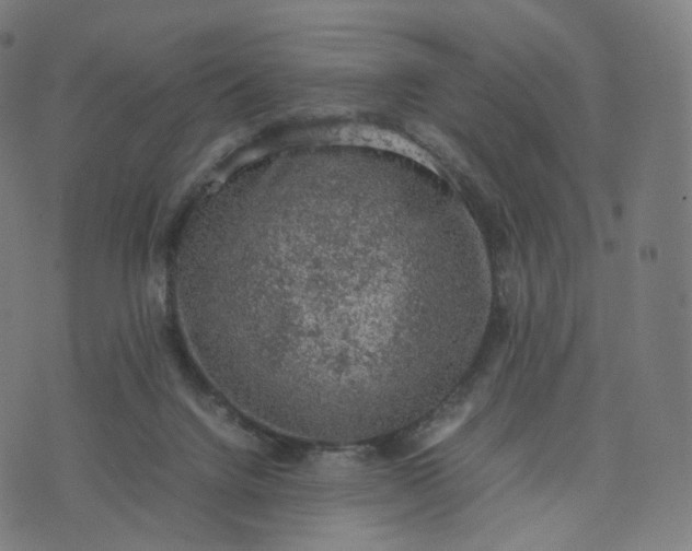 X0000070370072200606231658