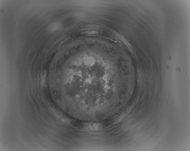 X0000070370073200606231658