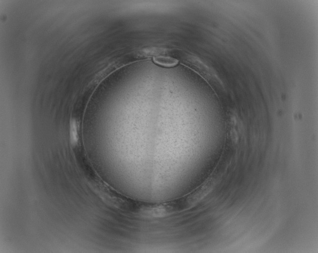 X0000070370075200606231658