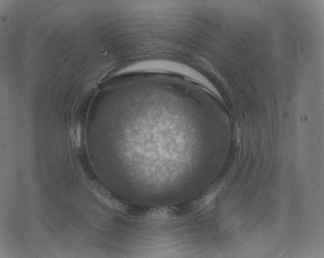 X0000070370076200606231658