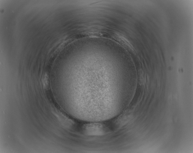 X0000070370077200606231658