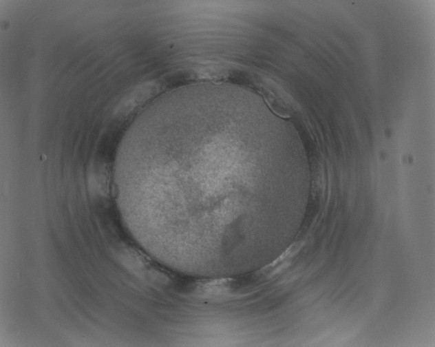 X0000070370078200606231658