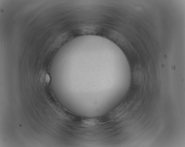 X0000070370079200606231658