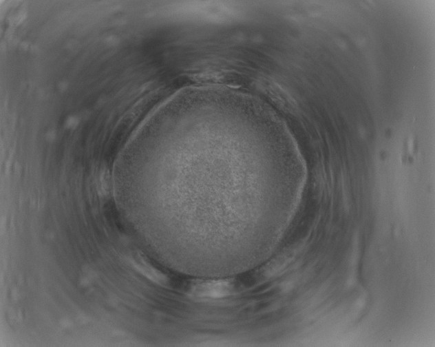 X0000070370081200606231658