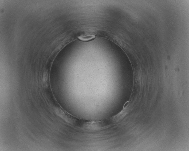 X0000070370082200606231658