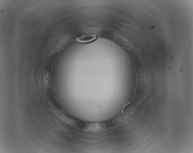 X0000070370083200606231658