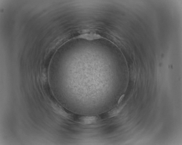 X0000070370085200606231658