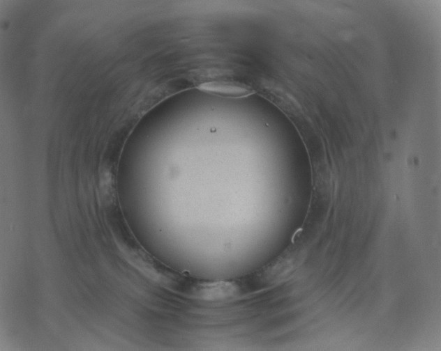 X0000070370087200606231658