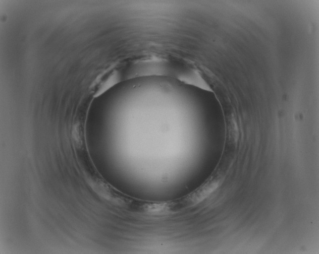 X0000070370088200606231658