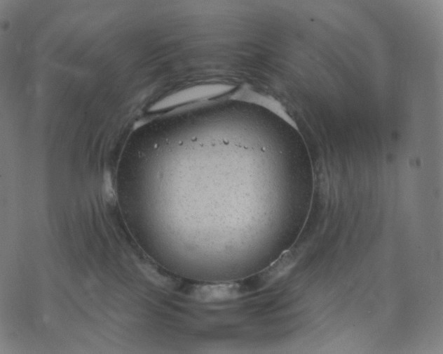 X0000070370089200606231658