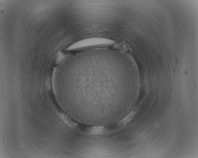 X0000070370090200606231658