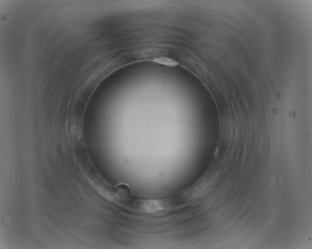 X0000070370091200606231658