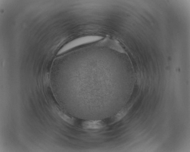 X0000070370093200606231658