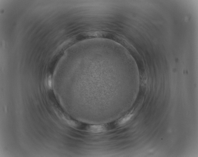 X0000070370095200606231658