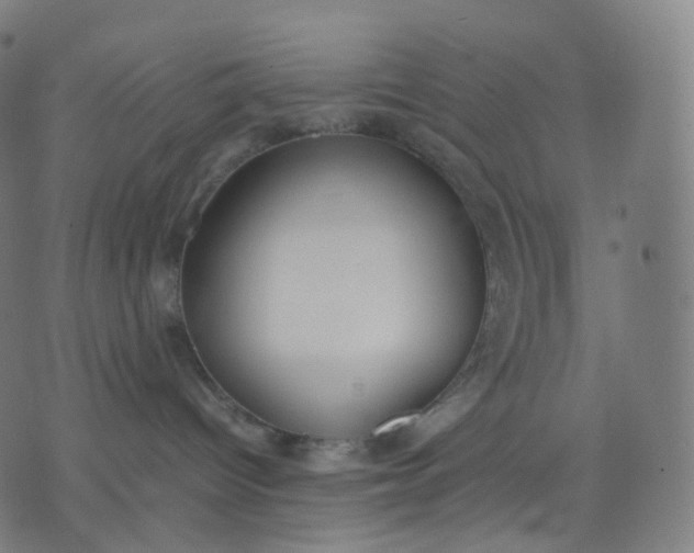 X0000070370096200606231658