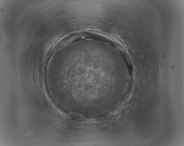 X0000070370097200606231657