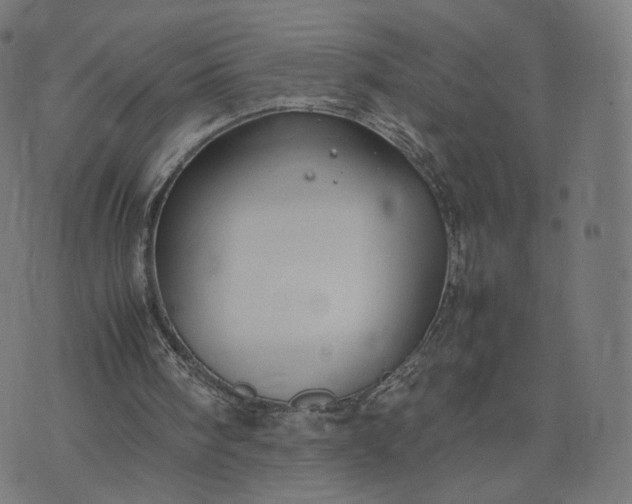 X0000070370098200606231657