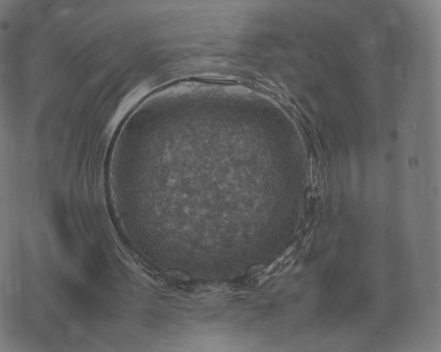 X0000070370099200606231657