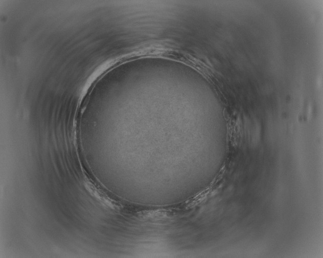 X0000070370100200606231657