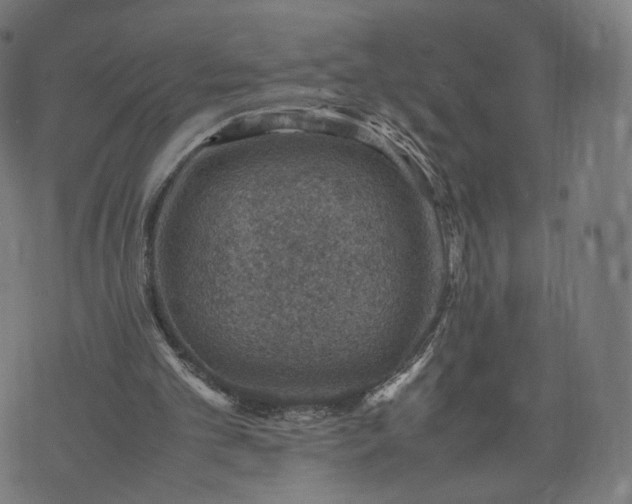 X0000070370101200606231657