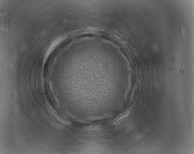 X0000070370102200606231657