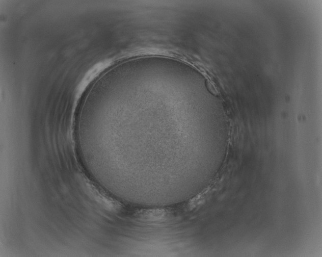 X0000070370104200606231657