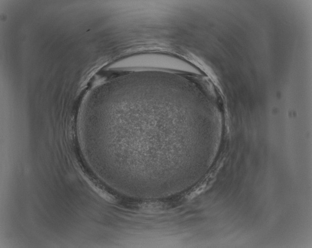 X0000070370105200606231657