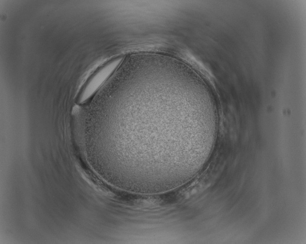 X0000070370107200606231657