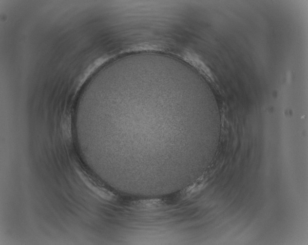 X0000070370108200606231657