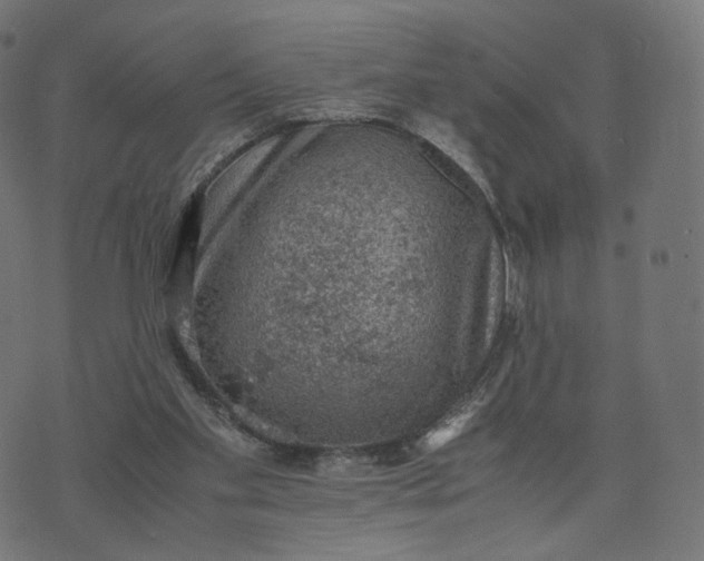 X0000070370109200606231657