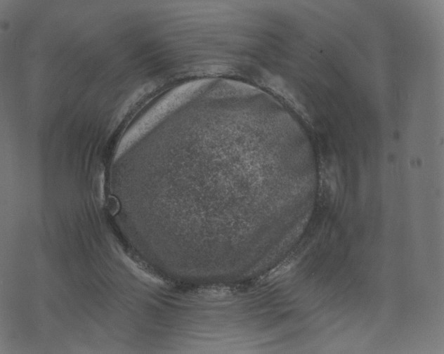 X0000070370110200606231657