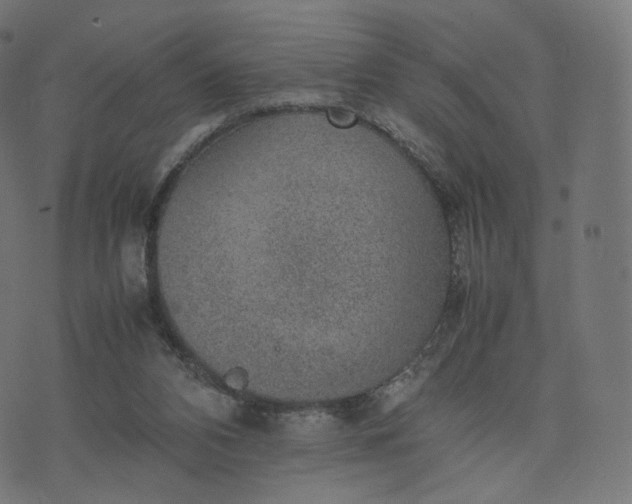 X0000070370112200606231657