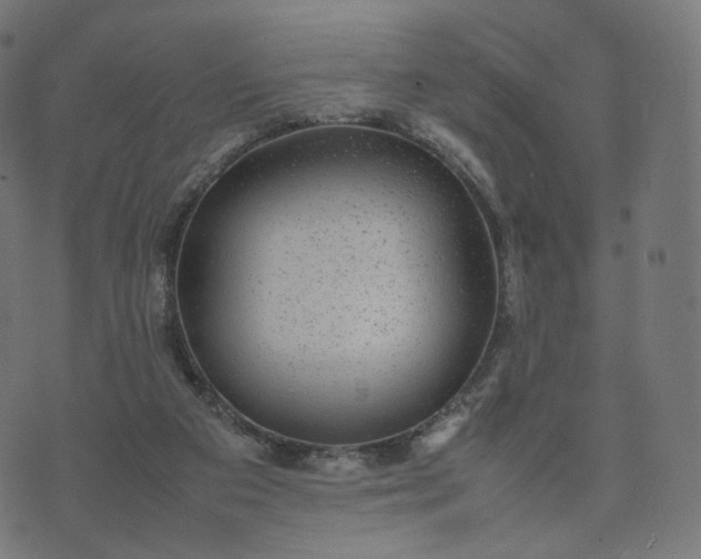 X0000070370113200606231657