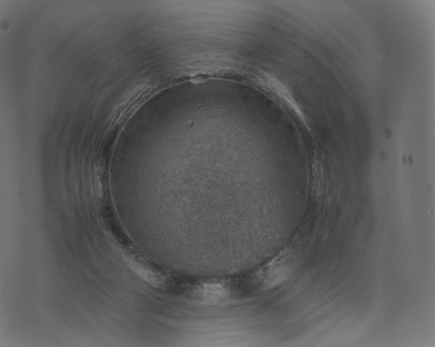 X0000070370114200606231657