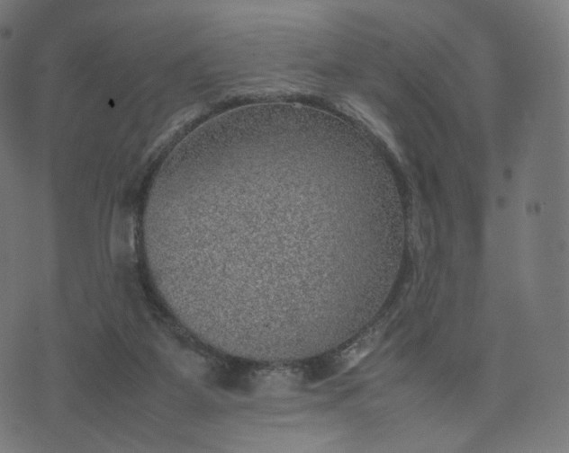 X0000070370115200606231657